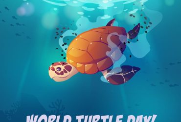 World Turtle Day