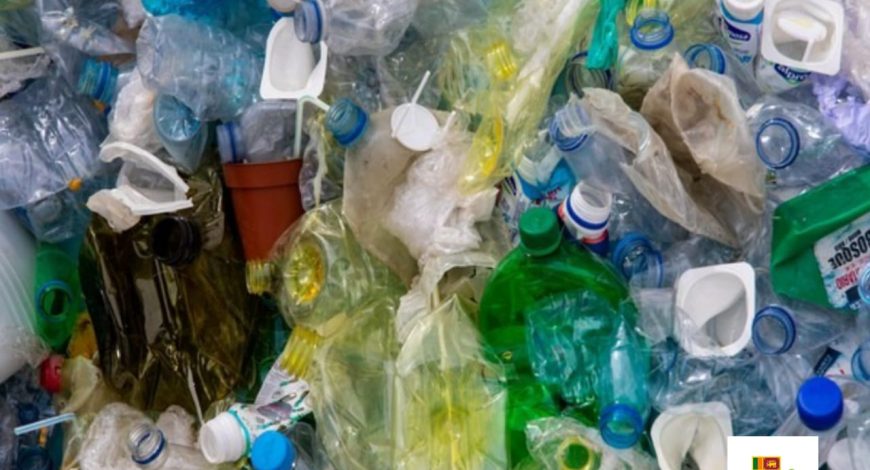 Be a Protester to avoid Plastic
