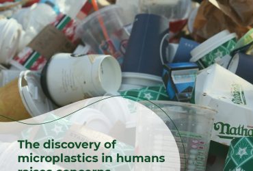 The discovery of microplastics in humans raises concerns about health effects