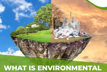 What Is Environmental Pollution?