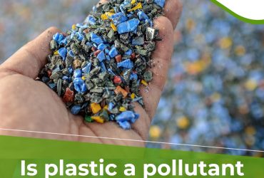 Is plastic a pollutant magnet?