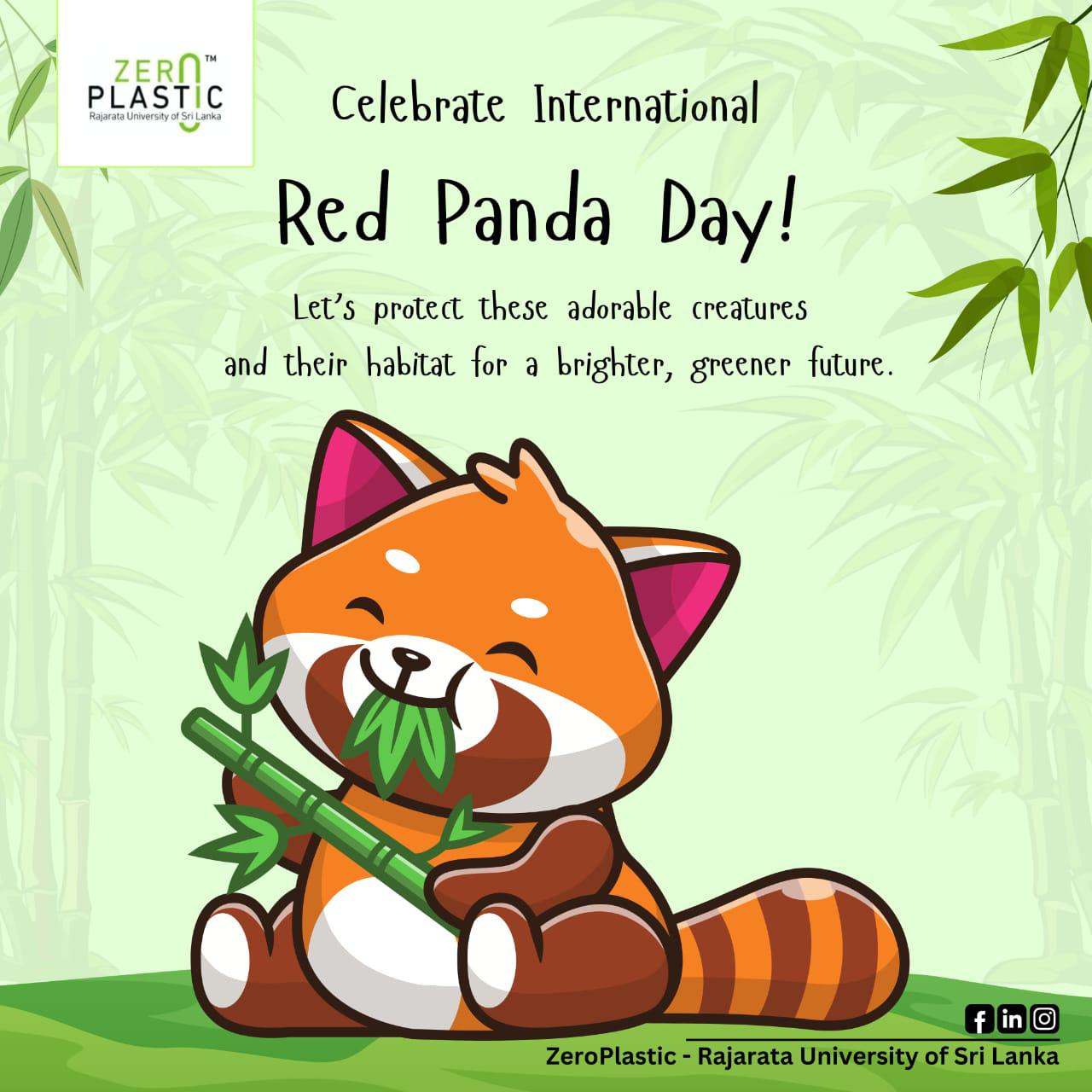 International Red Panda Day