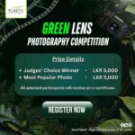 **Capturing a Greener Future: Highlights from the Green Lens Photography Competition 2025**
