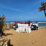 Waves without waste