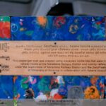 From Waste to Wonder: How 11,000 Plastic Caps Became a Symbol of Change at Maradana Railway Station