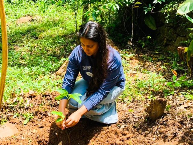 Grow Green 1.0 By ZeroPlastic University of Vavuniya