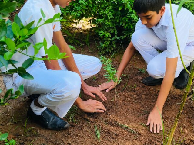 Growing Together, ZeroPlastic UoP Successfully Completes රුක් රෝපණ සෙවණ!
