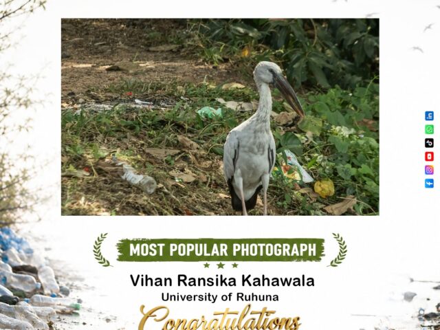 University of Ruhuna Environmental Photo Contest – Winners and Most Popular Photograph Revealed