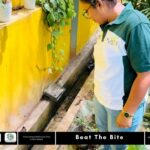 ZeroPlastic CINEC Campus Launches Beat the Bite Dengue Prevention Cleanup
